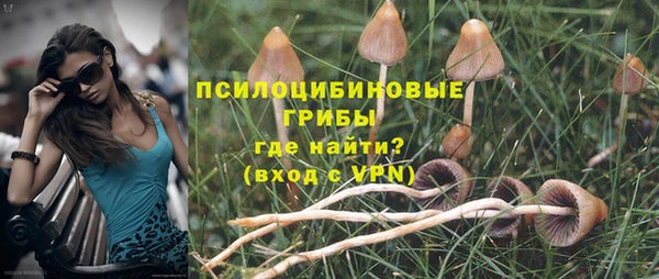 первитин Протвино