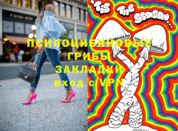 дживик Аркадак